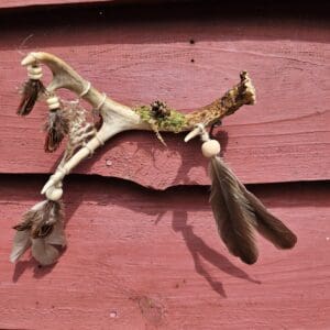 Deer Antler Dream Catcher