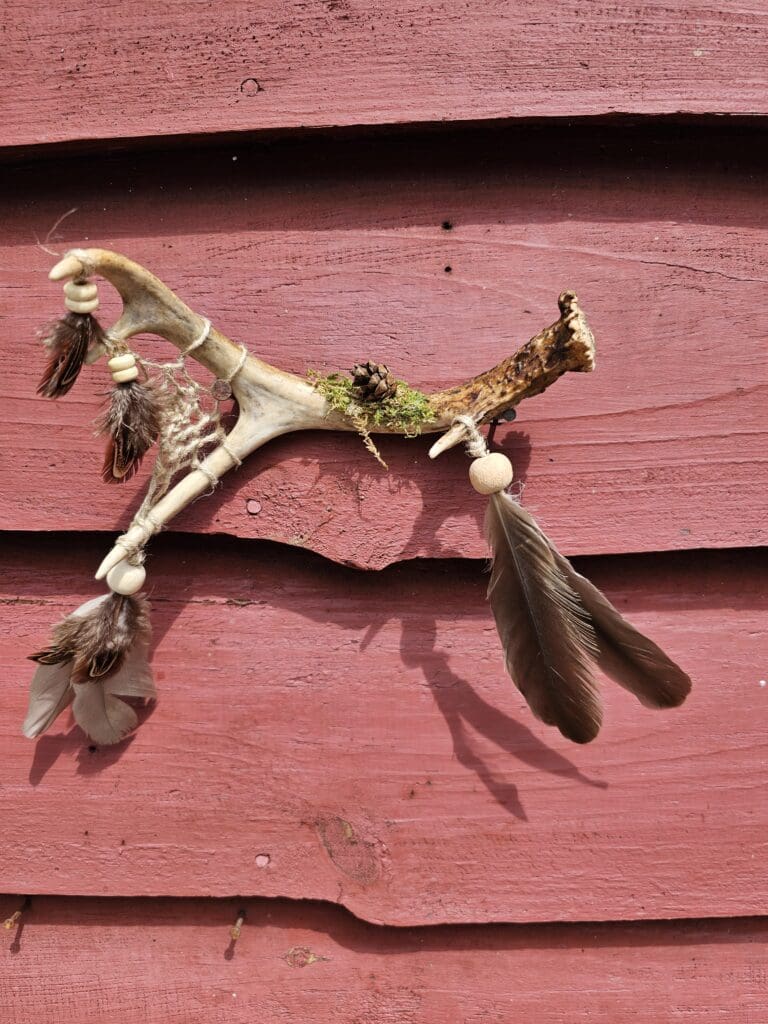 Deer Antler Dream Catcher